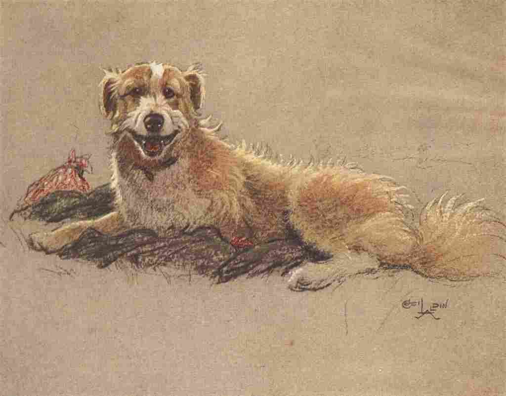 A Dozen Dogs or So 1928 2 A4 Photo Print