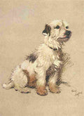 A Dozen Dogs or So 1928 6 A4 Photo Print