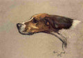 A Dozen Dogs or So 1928 8 A4 Photo Print
