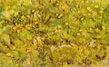 A Field Of Yellow Flowers 1889 A4 Photo Print