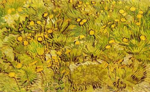 A Field Of Yellow Flowers 1889 A4 Photo Print