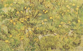 A Field Of Yellow Flowers Arles 1889 A4 Photo Print