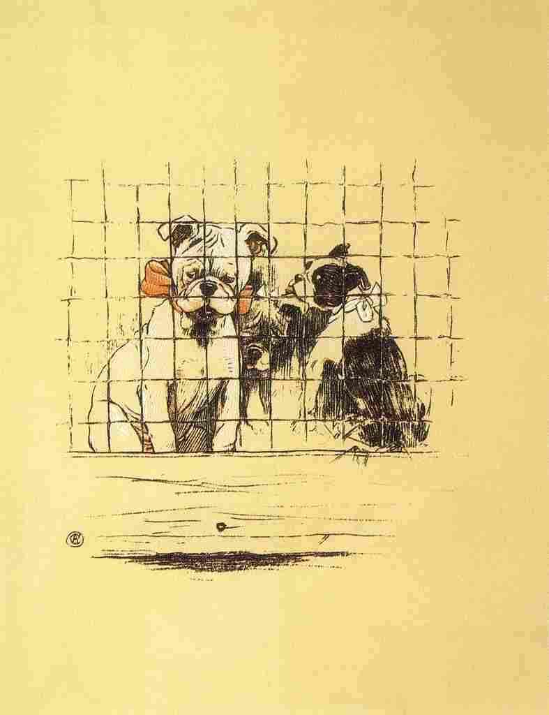 A Gay Dog 1905 1 A4 Photo Print