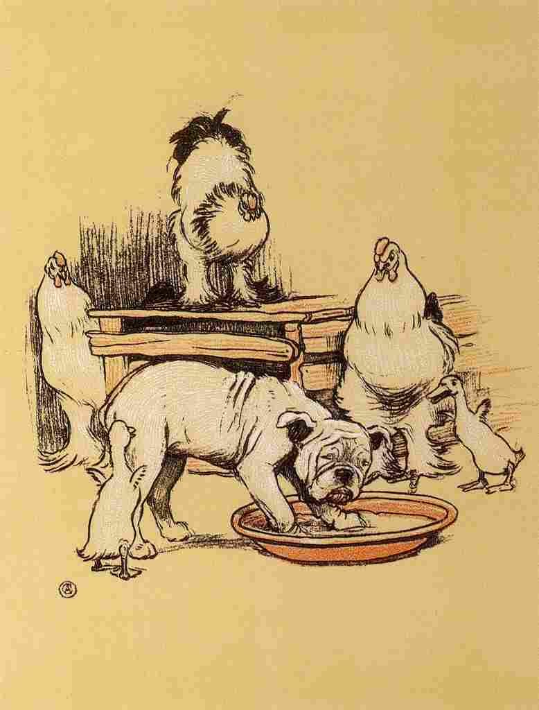 A Gay Dog 1905 20 A4 Photo Print