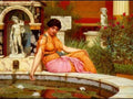 A Lily Pond 19017 A4 Photo Print