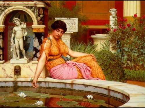 A Lily Pond 19017 A4 Photo Print