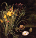 A Lily Pond Art A4 Photo Print
