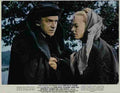 A Man for All Seasons 07 film star poster A4 Photo Print