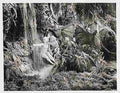 A Midsummer Nights Dream 1935 15 film star poster A4 Photo Print