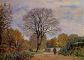 A Road In Seine Et Marne A4 Photo Print