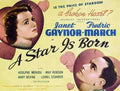 A Star Is Born 1937 01 film star poster A4 Photo Print