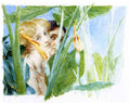 A beautiful flowe by Alma Tadema A4 Photo Print