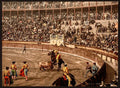 A bull fight II Barcelona Vintage A4 Photo Print
