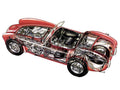 AC Shelby Cobra cutaway A4 Photo Print