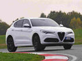 ALFA ROMEO Stelvio 5924 70 Car A4 Photo Print