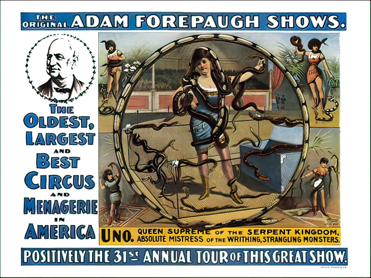 AP141K adam forepaugh shows snake woman circus poster 1 Advert A4 Photo Print