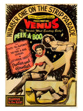 AP399E venus peek a boo striptease 1 Advert A4 Photo Print