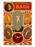 AP5158 marvellous bard wire artist 1 Advert A4 Photo Print