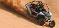 ARCTICCATWildcat1000Limited 3585 2 Car A4 Photo Print