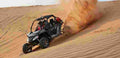 ARCTICCATWildcat1000Limited 3586 3 Car A4 Photo Print