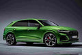AUDI RS Q8 6702 19 Car A4 Photo Print