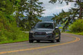 AUDI SQ5 5873 54 Car A4 Photo Print