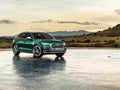 AUDI SQ5 5873 63 Car A4 Photo Print