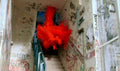 Abandoned Stairwell Dye Vintage Retro Advert Poster A4 Photo Print