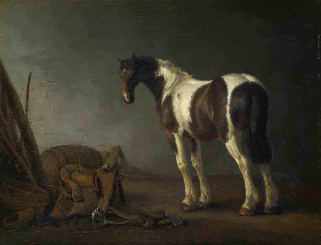 Abraham van Calraet A Horse with a Saddle Beside it A4 Photo Print