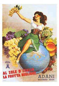 Adani 170 advert A4 Photo Print
