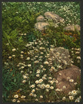 Adirondack mountain wild flowers Vintage A4 Photo Print