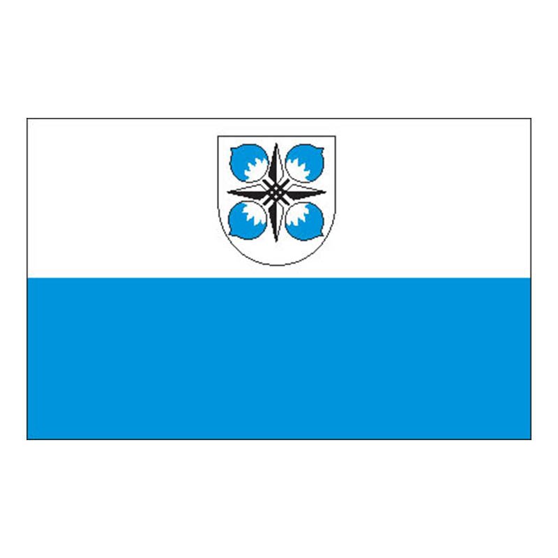 Aegviidu Vald Flag N4226 A4 Photo Print