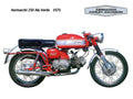 Aermacchi 250 Ala Verde 1970 motorbike A4 Photo Print