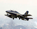 Aermacchi Mb339 Military A4 Photo Print