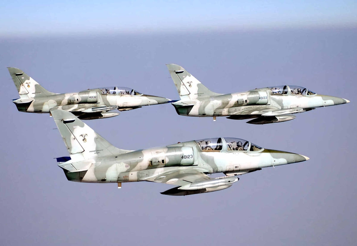 Aero L39 Albatros Advanced Jet Trainer Light Strike Aircraft Czechoslovakia 17 (2) Military A4 Photo Print