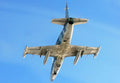 Aero L39 Albatros Advanced Jet Trainer Light Strike Aircraft Czechoslovakia 21 (2) Military A4 Photo Print