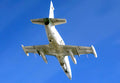 Aero L39 Albatros Advanced Jet Trainer Light Strike Aircraft Czechoslovakia 22 (2) Military A4 Photo Print