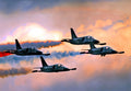 Aero L39 Albatros Advanced Jet Trainer Light Strike Aircraft Czechoslovakia 6 (2) Military A4 Photo Print