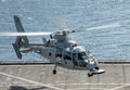 Aerospatiale As365 Panther 5 Military A4 Photo Print