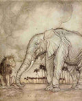 Aesops Fables 1912 12 A4 Photo Print