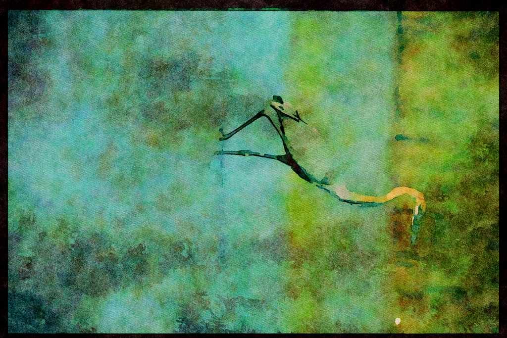 African Birds 268003 Goliath Heron A4 Limited Edition Watercolour Print