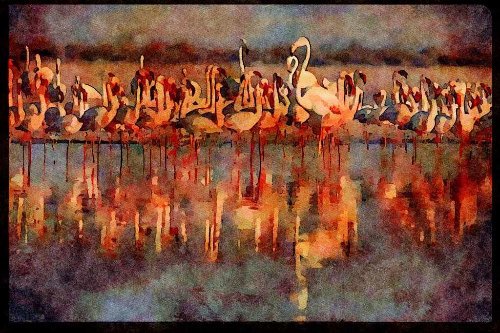 African Birds 268009 Flamingos A4 Limited Edition Watercolour Print