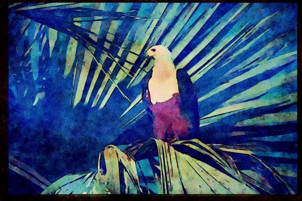 African Birds 268017 African Fish Eagle A4 Limited Edition Watercolour Print