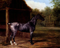 Agasse Jacques Laurent Lord Rivers Roan Mare In A Landscape Art A4 Photo Print