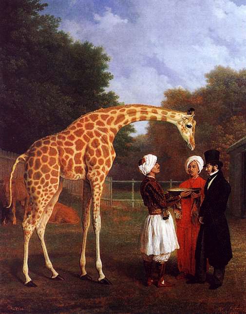 Agasse Jacques Laurent The Nubian Giraffe Art A4 Photo Print