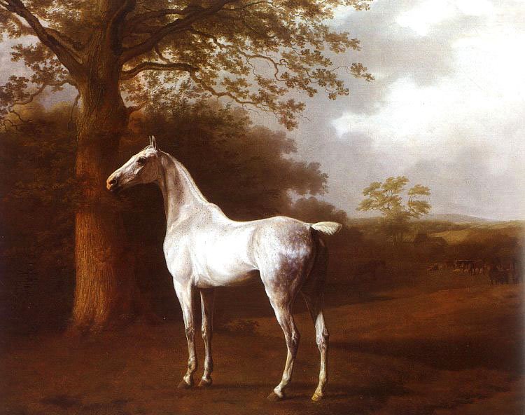 Agasse Jacques Laurent White Horse in Pasture Art A4 Photo Print