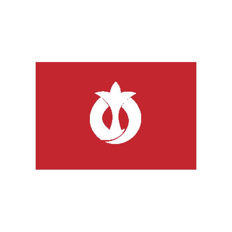 Aichi Pref Flag N2524 A4 Photo Print