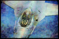 Air Force 396076 F 16 Falcon A4 Limited Edition Watercolour Print