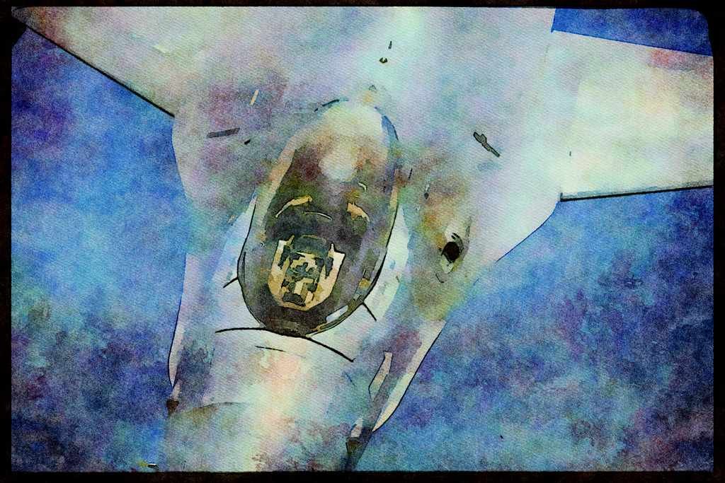 Air Force 396076 F 16 Falcon A4 Limited Edition Watercolour Print