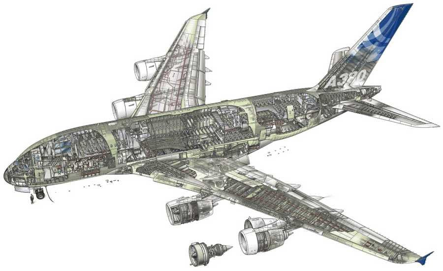 Airbus A380 cutaway A4 Photo Print
